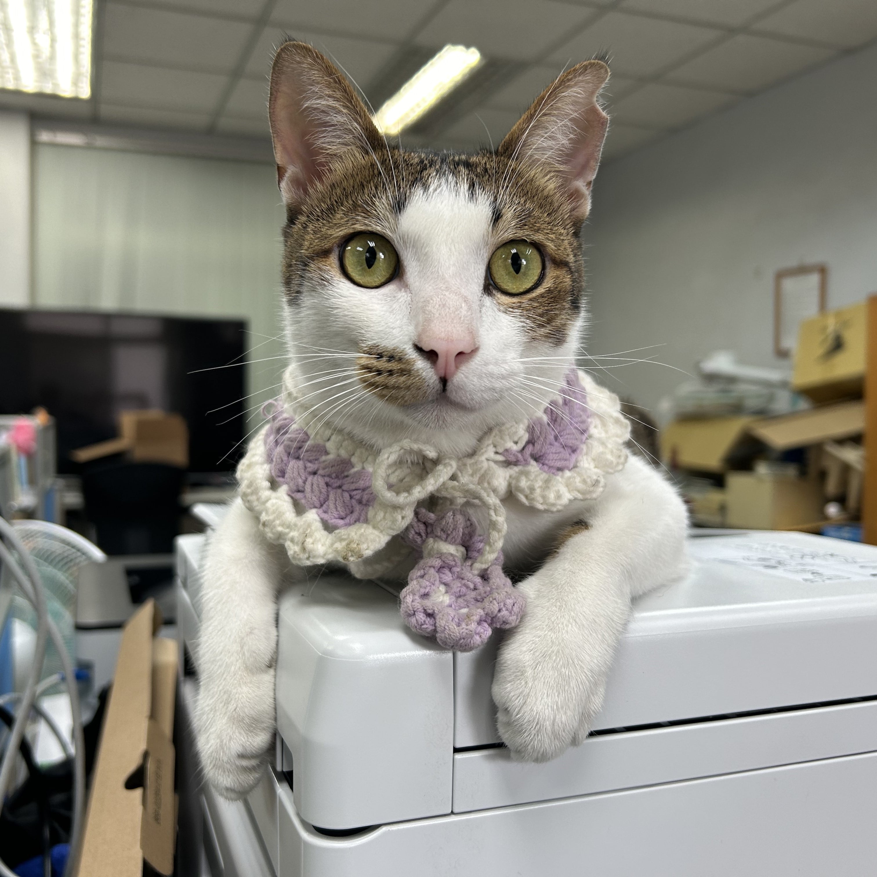 Welcom to AI System Lab